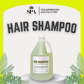 Correct photo - Hair Shampoo (Gallon) - GALLON HAIR SHAMPOO